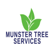 Munster Tree Services